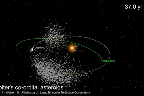 How "Rogue" asteroid Bee-Zed orbits the sun without colliding with other asteroids