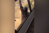  maid drops from 7th-floor window as employer films