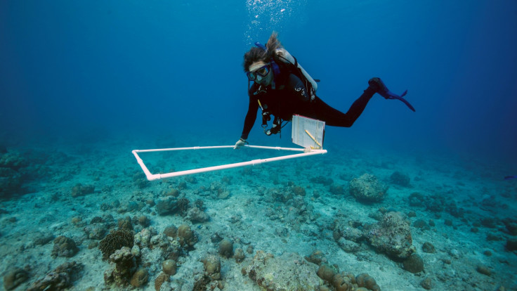 The traditional way to monitor coral reefs