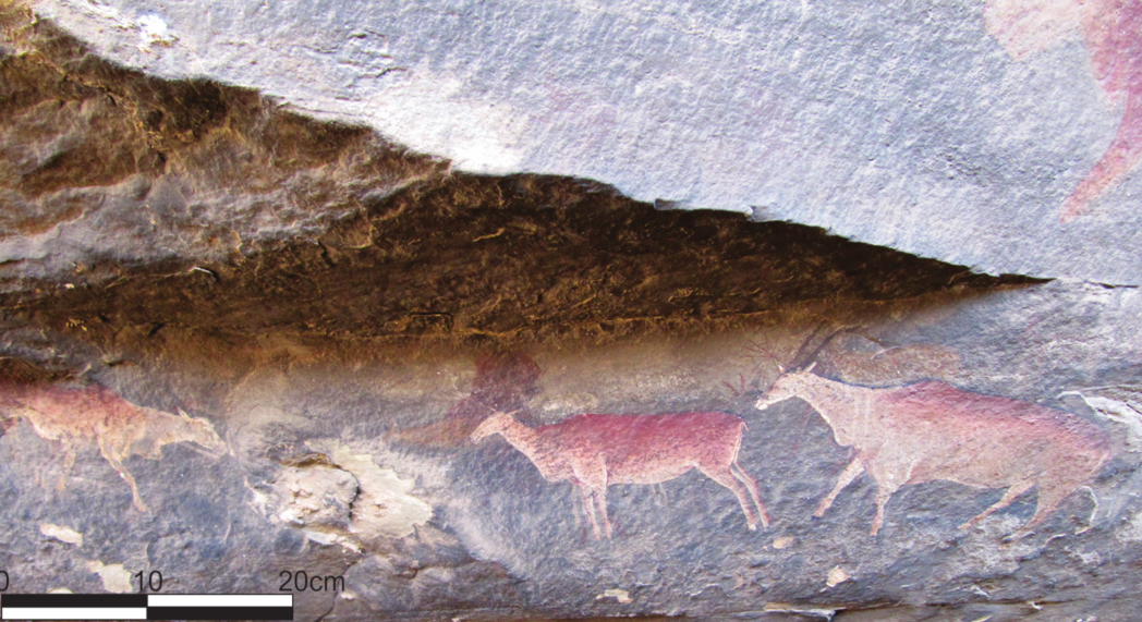 Earliest dated rock art in Southern Africa depicts shamans' journey to
