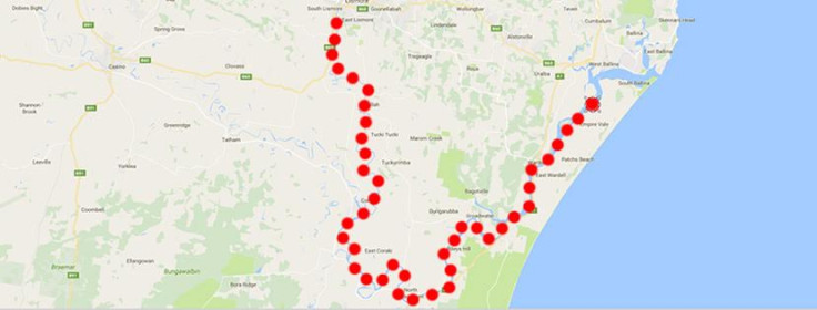 Cyclone Debbie cow river