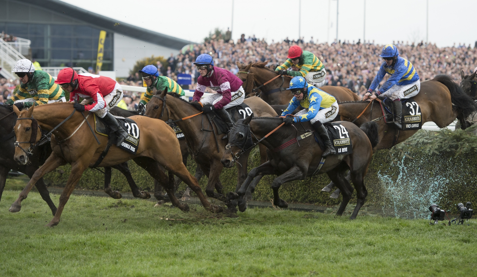 Grand national racecard