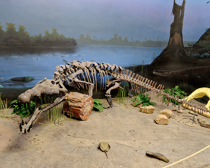 Phytosaur