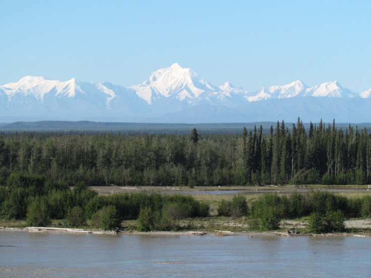 Alaska mammoths