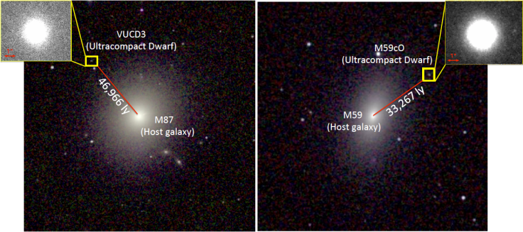 Dwarf galaxies