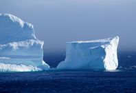 Iceberg Newfoundland