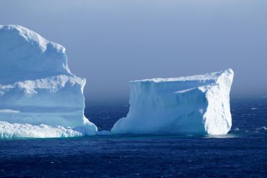 Iceberg Newfoundland