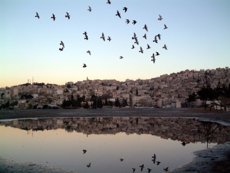 Amman