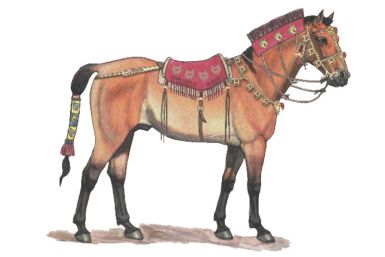 Scythian horse