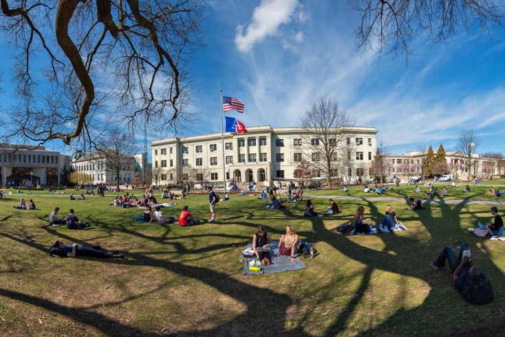 American University