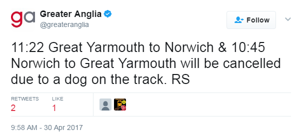 Dog on track