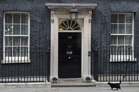 Downing Street cat