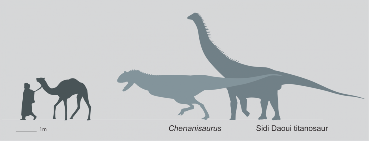 Chenanisaurus barbaricus