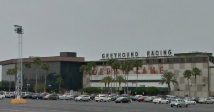 Derby Lane greyhound track