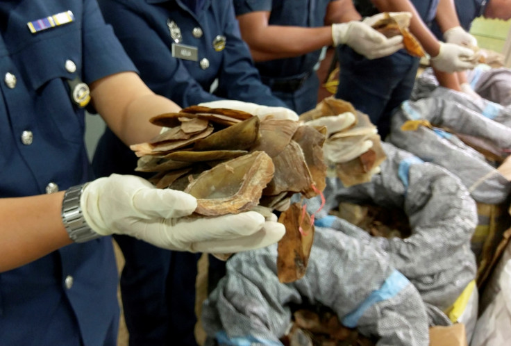 Pangolin seized in Malaysia