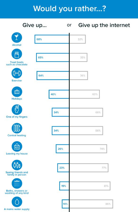 internet survey
