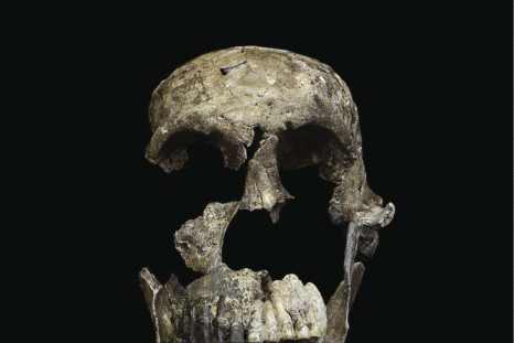 Homo Naledi
