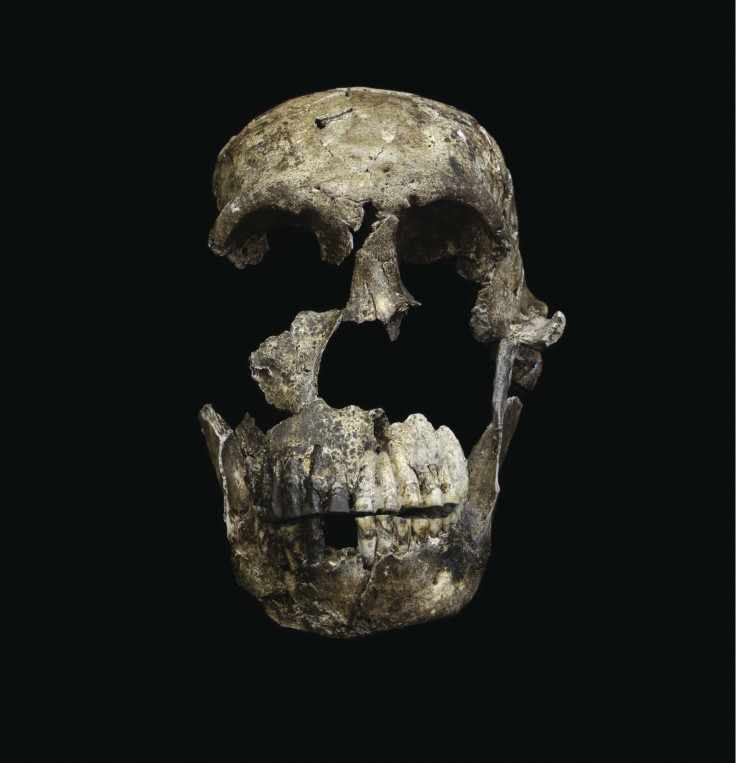 Homo Naledi