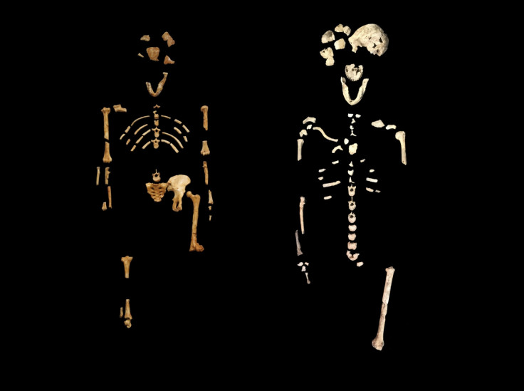 Homo Naledi