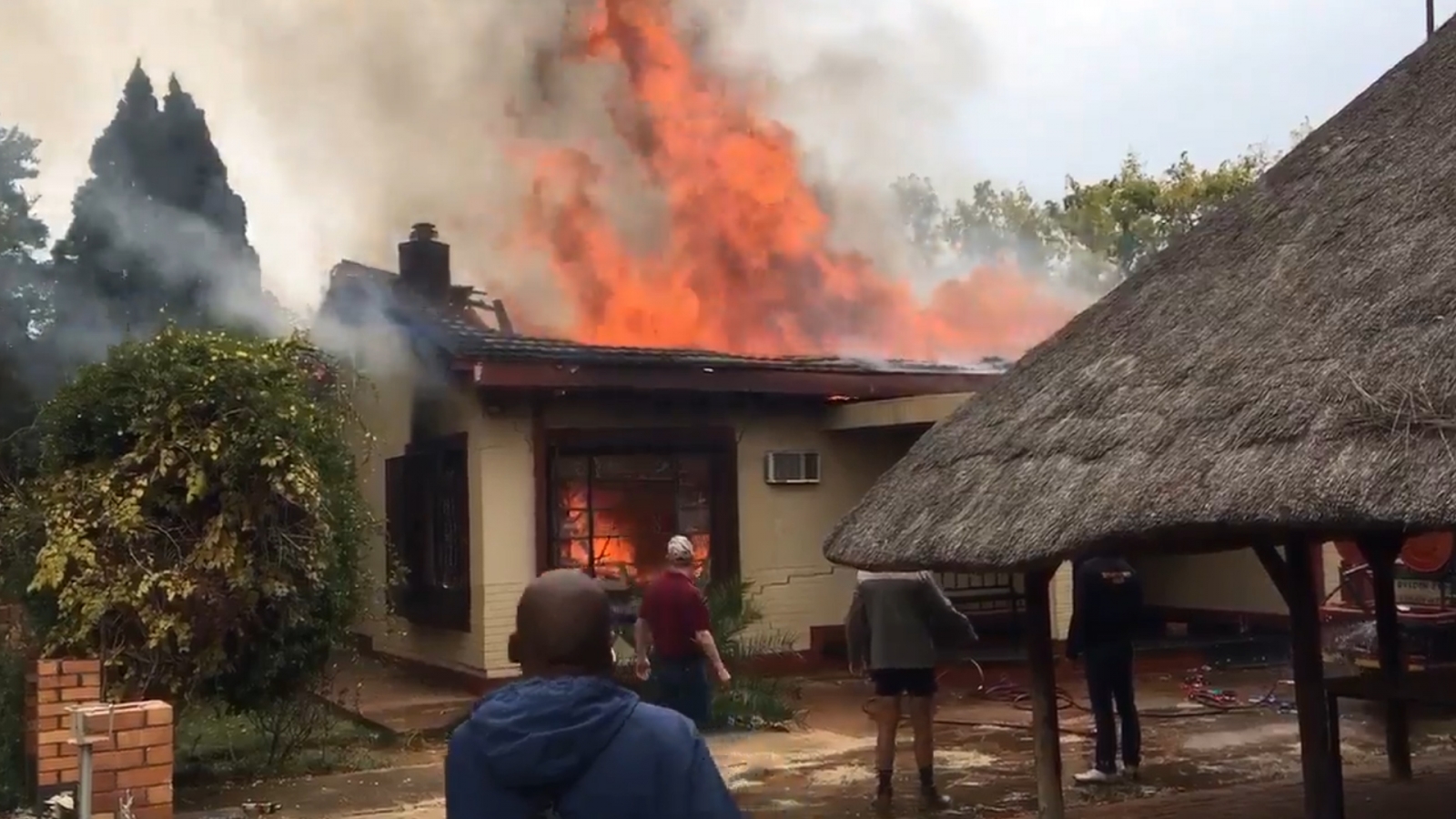 Benelli To Launch Leoncino During Festive Season Trk 502