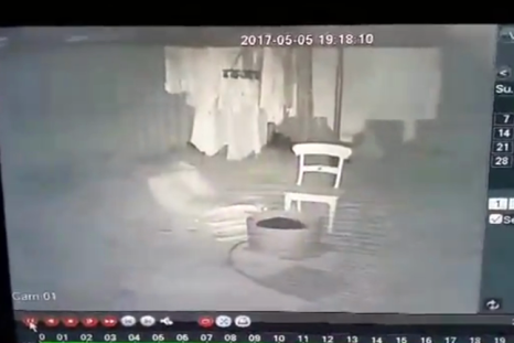 Trespasser caught on CCTV sniffing woman's underwear on washing line
