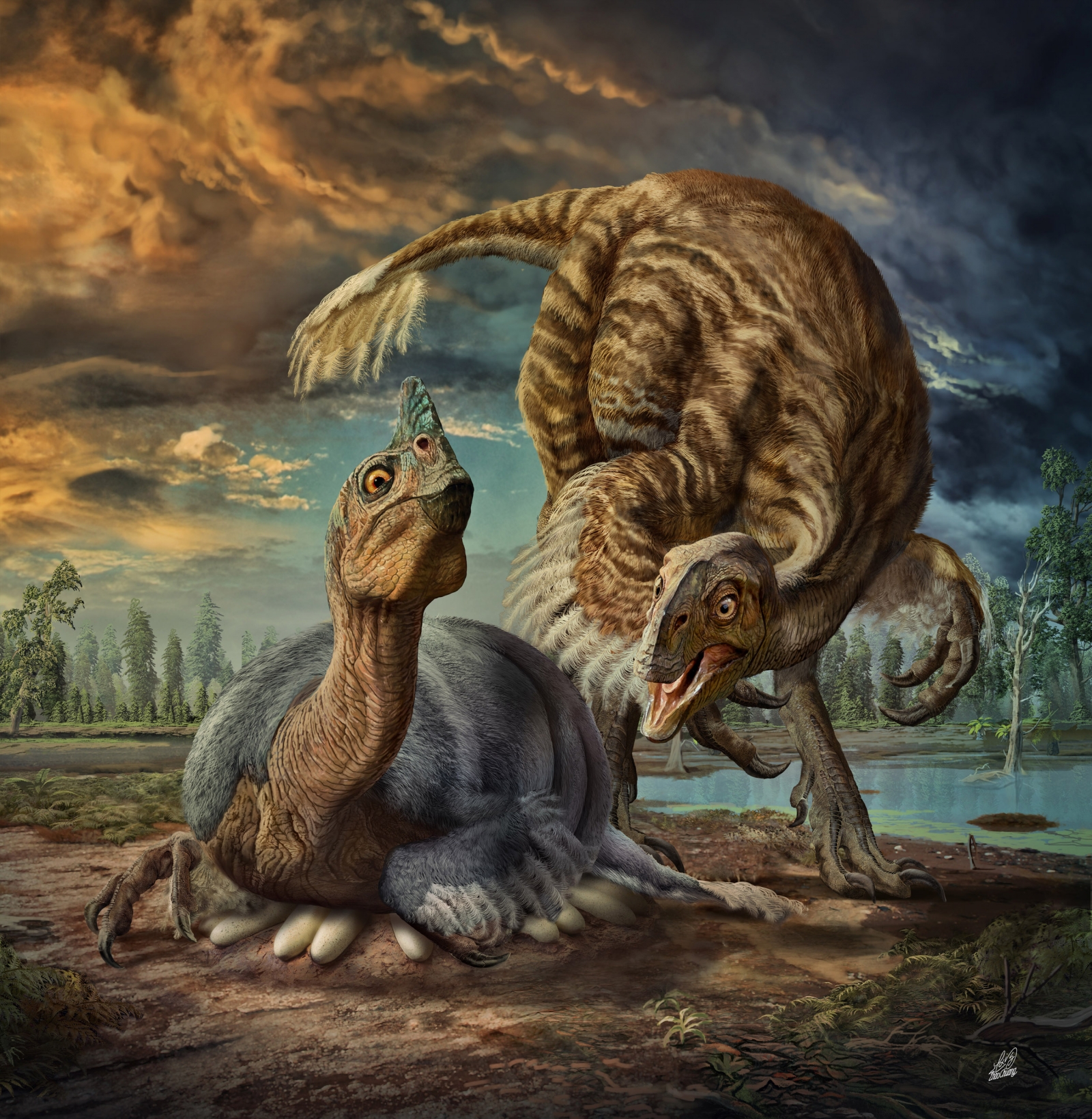 Smuggled dinosaur embryo 'Baby Louie' identified as entirely new giant