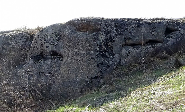 Siberia Huge dragon and griffin megaliths created by mysterious