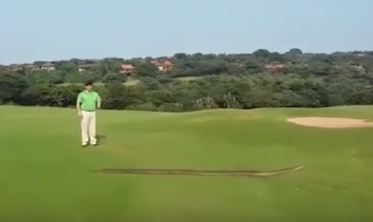 Snake golf course