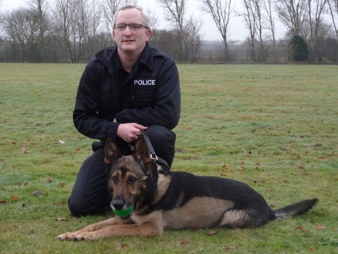 pc and dog