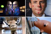 Pictures of the week Pictures of the week