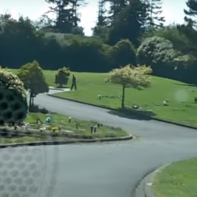 Cemetery workers play golf on graves