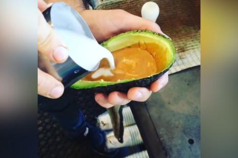 Avo Latte's Take Internet By Storm In Newest Hipster Craze