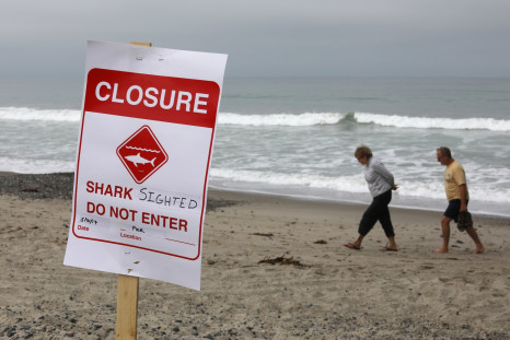 Shark sighted sign on San Clemente beach