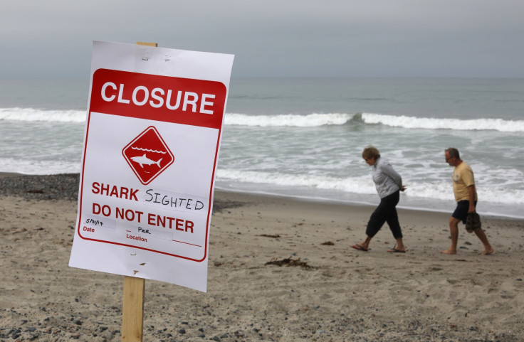 Shark sighted sign on San Clemente beach