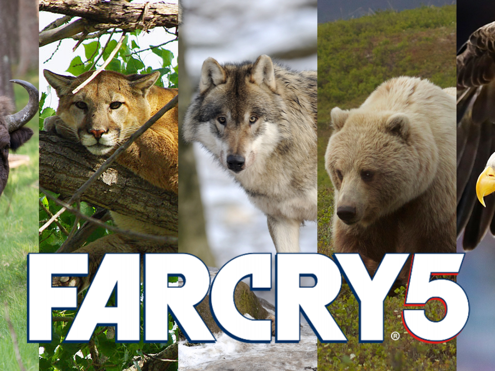 Far Cry 5 wildlife: What animals from the wilds of Montana might players  encounter?