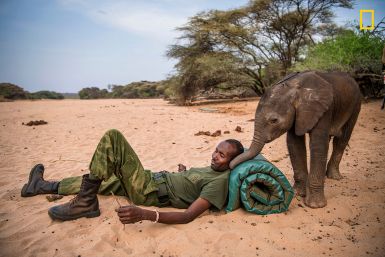Elephant sanctuary Kenya