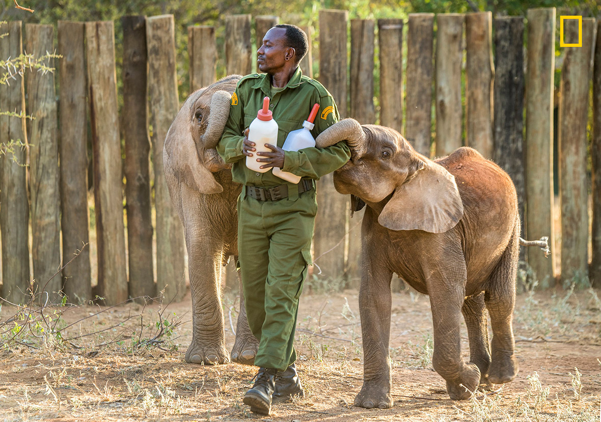 Heartwarming story and photos of a baby elephant sanctuary in Kenya