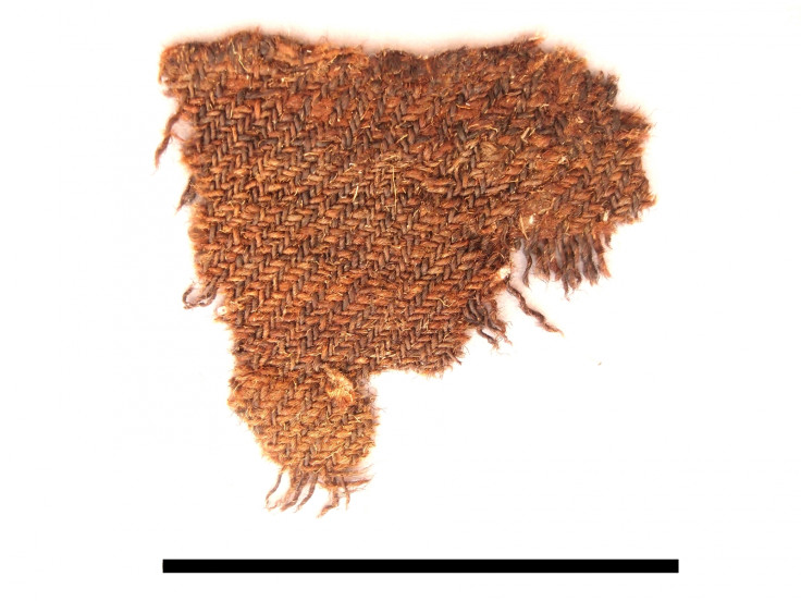 Bronze Age wool