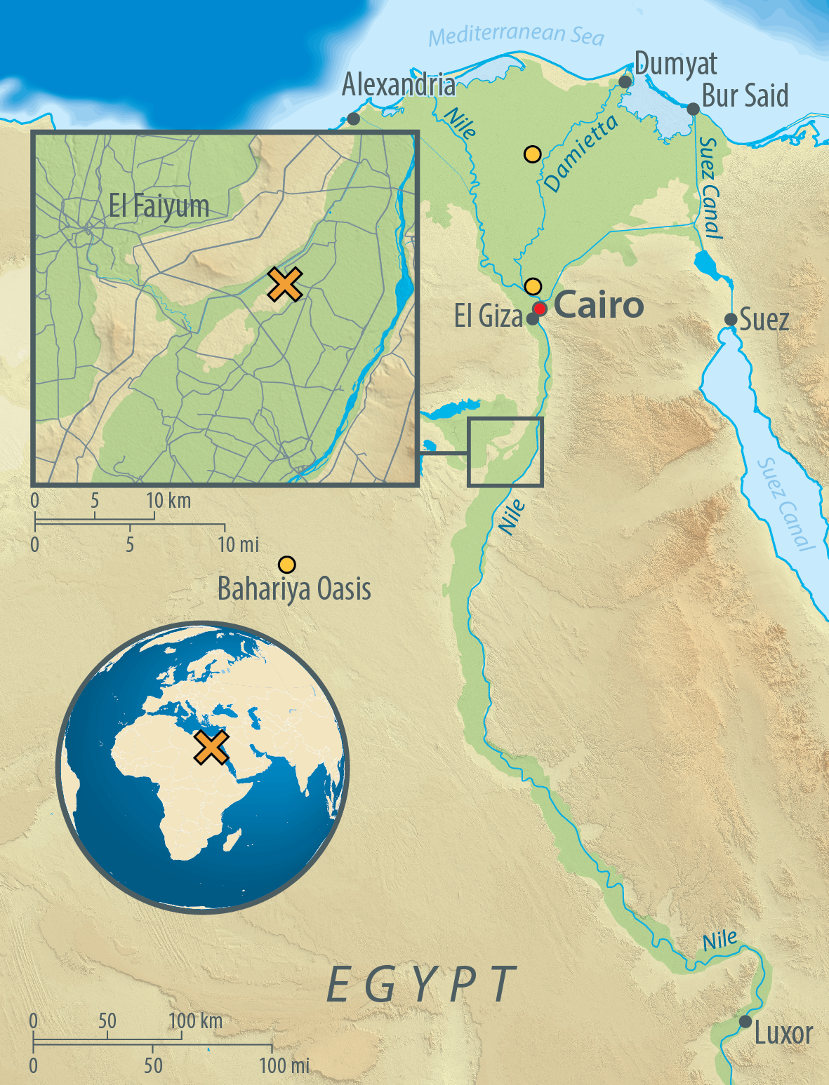 Mummy Dna Reveals Suprise Discovery About Ancient Egyptians Ancestry