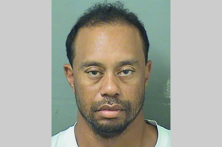 tiger woods mugshot