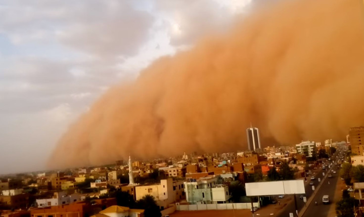 haboob