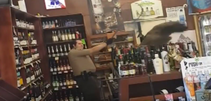 peacock damages liquor worth $500 in California store