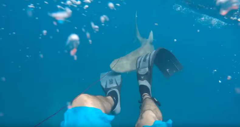 Man attacked by shark in Florida