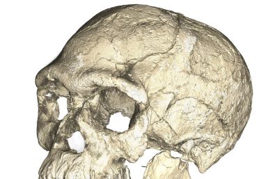 Earliest Homo sapiens