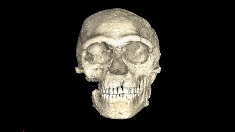 earliest-ever-modern-humans-discovered-showing-homo-sapiens-are-100000-years-older-than-we-thought