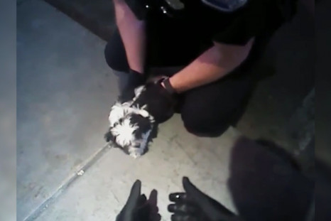 Heroic Police Officers Rescue Choking Puppy