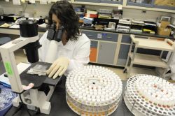 U.S. Food Safety U.S. Food Safety