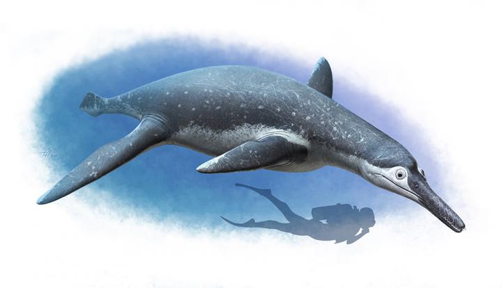Pliosaur Pliosaur
