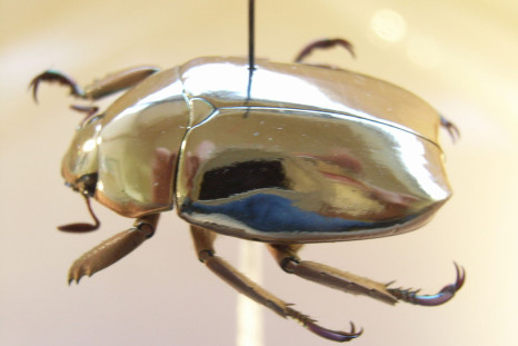 Jewel scarab