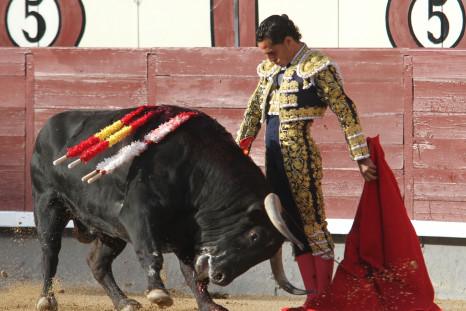 Ivan Fandino killed in bullfight